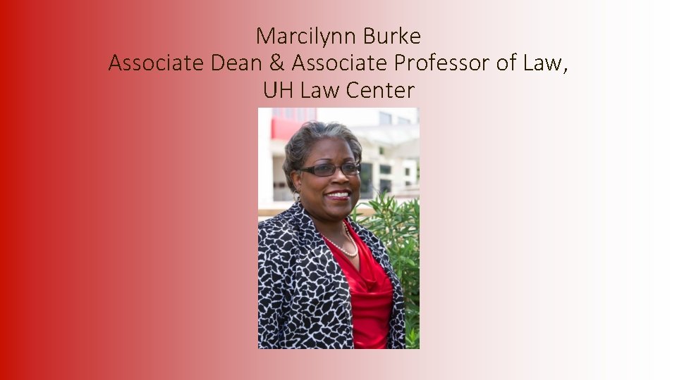 Marcilynn Burke Associate Dean & Associate Professor of Law, UH Law Center 