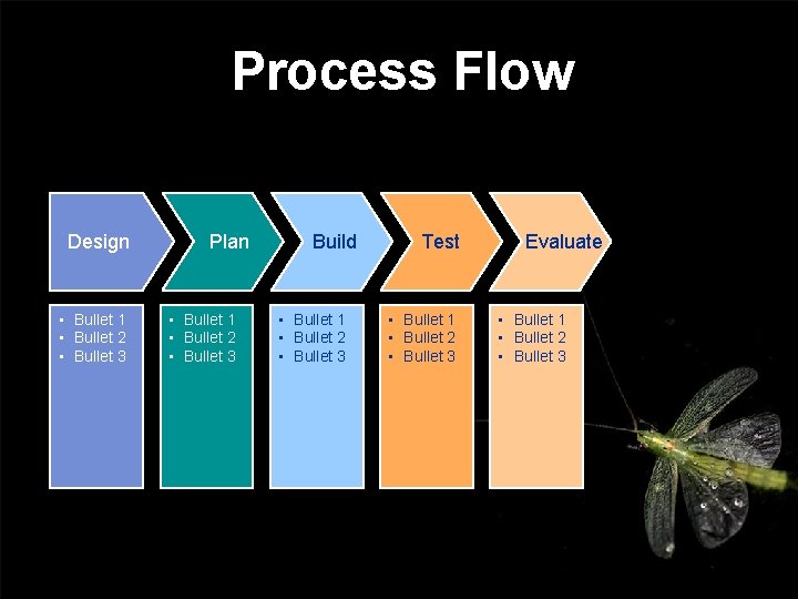 Process Flow Design • Bullet 1 • Bullet 2 • Bullet 3 Plan •