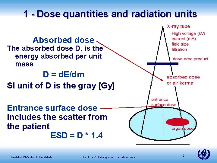 International Atomic Energy Agency Talking about Radiation Dose