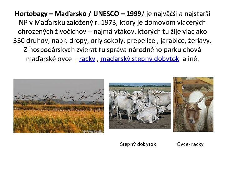 Hortobagy – Maďarsko / UNESCO – 1999/ je najväčší a najstarší NP v Maďarsku