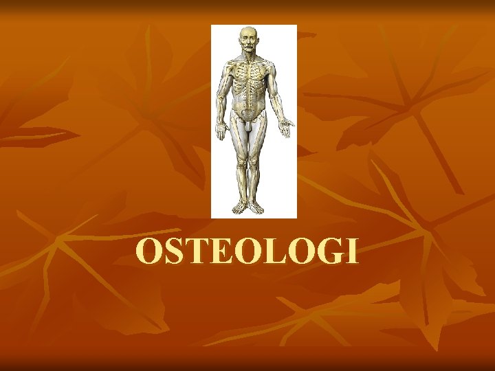 OSTEOLOGI 