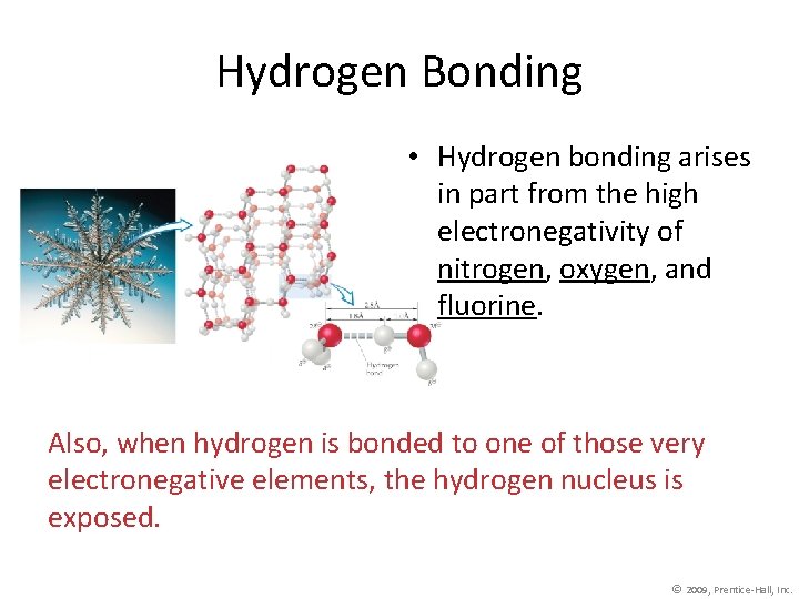 Hydrogen Bonding • Hydrogen bonding arises in part from the high electronegativity of nitrogen,