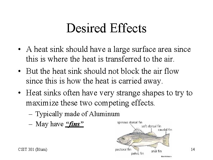 Desired Effects • A heat sink should have a large surface area since this