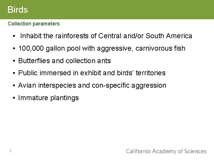Birds Collection parameters • Inhabit the rainforests of Central and/or South America • 100,