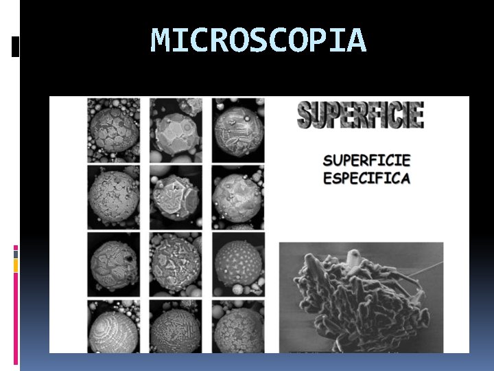 MICROSCOPIA MICROSCOPIA
