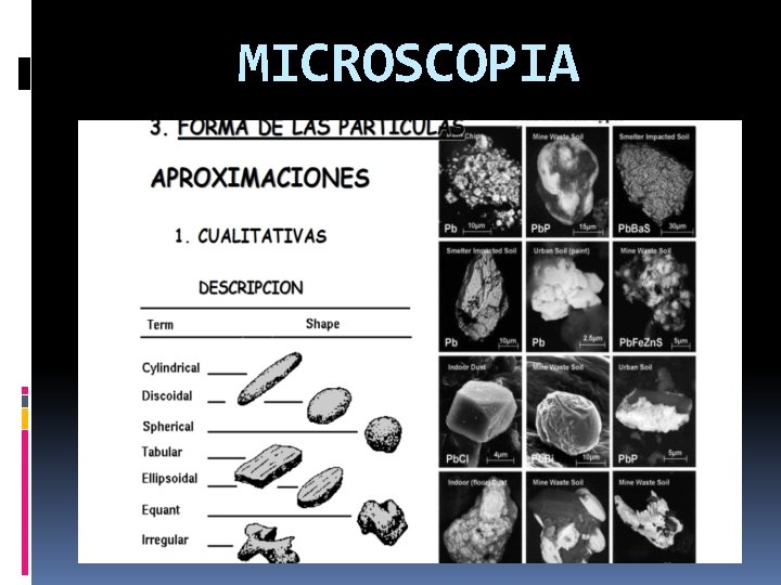 MICROSCOPIA MICROSCOPIA