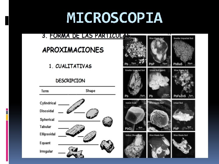 MICROSCOPIA 