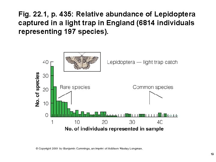 Fig. 22. 1, p. 435: Relative abundance of Lepidoptera captured in a light trap