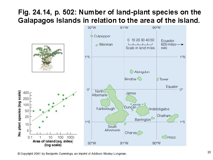 Fig. 24. 14, p. 502: Number of land-plant species on the Galapagos Islands in