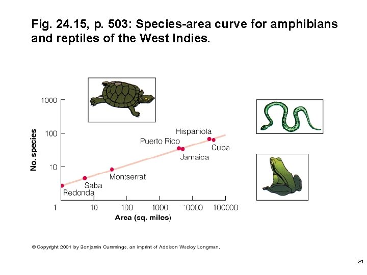 Fig. 24. 15, p. 503: Species-area curve for amphibians and reptiles of the West
