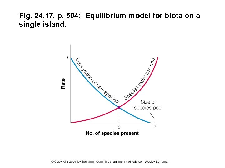 Fig. 24. 17, p. 504: Equilibrium model for biota on a single island. 26