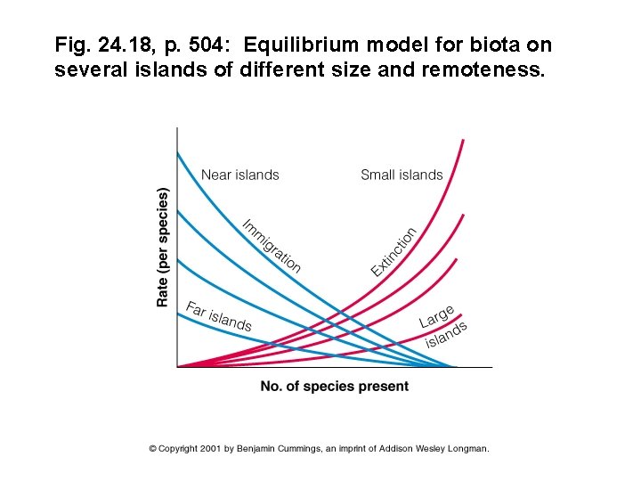 Fig. 24. 18, p. 504: Equilibrium model for biota on several islands of different