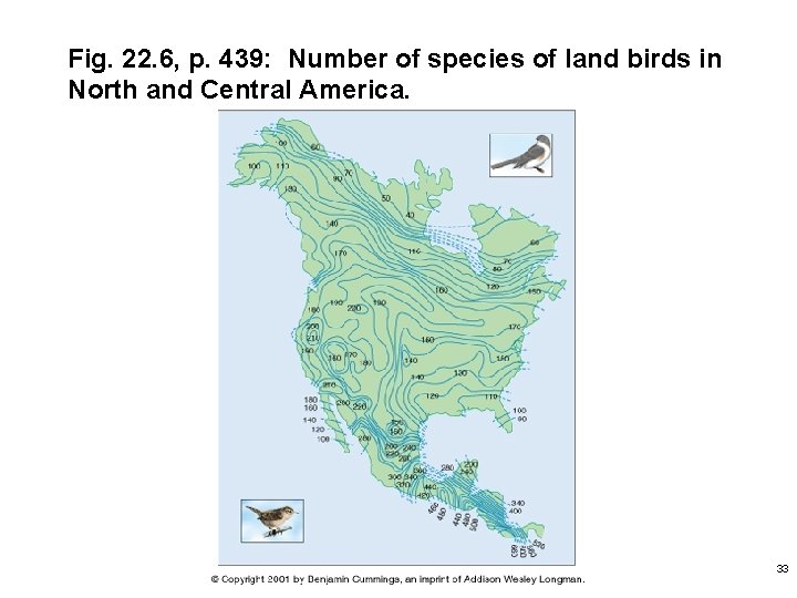 Fig. 22. 6, p. 439: Number of species of land birds in North and