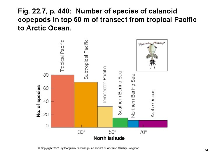 Fig. 22. 7, p. 440: Number of species of calanoid copepods in top 50