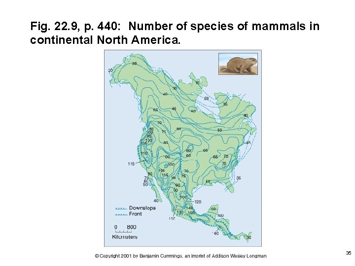 Fig. 22. 9, p. 440: Number of species of mammals in continental North America.