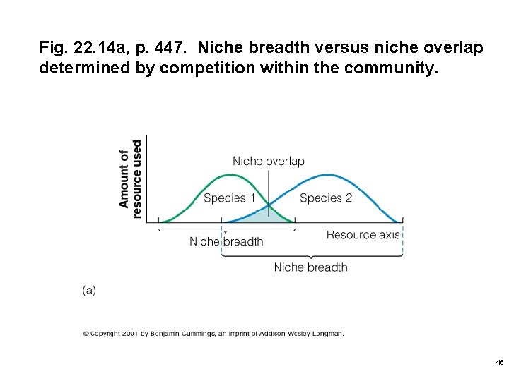 Fig. 22. 14 a, p. 447. Niche breadth versus niche overlap determined by competition