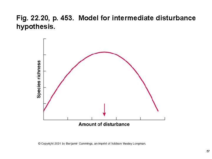 Fig. 22. 20, p. 453. Model for intermediate disturbance hypothesis. 57 