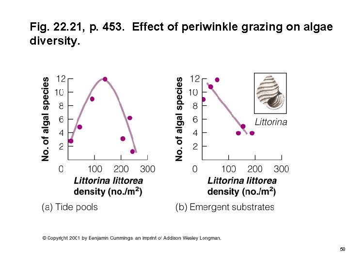 Fig. 22. 21, p. 453. Effect of periwinkle grazing on algae diversity. 58 