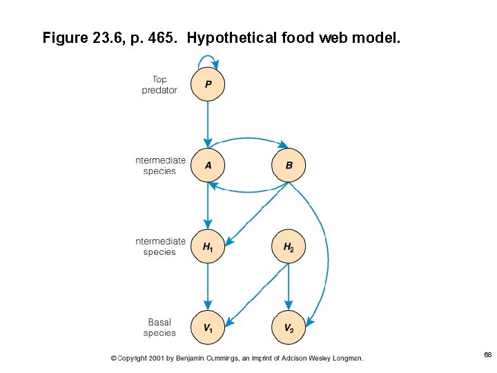 Figure 23. 6, p. 465. Hypothetical food web model. 68 