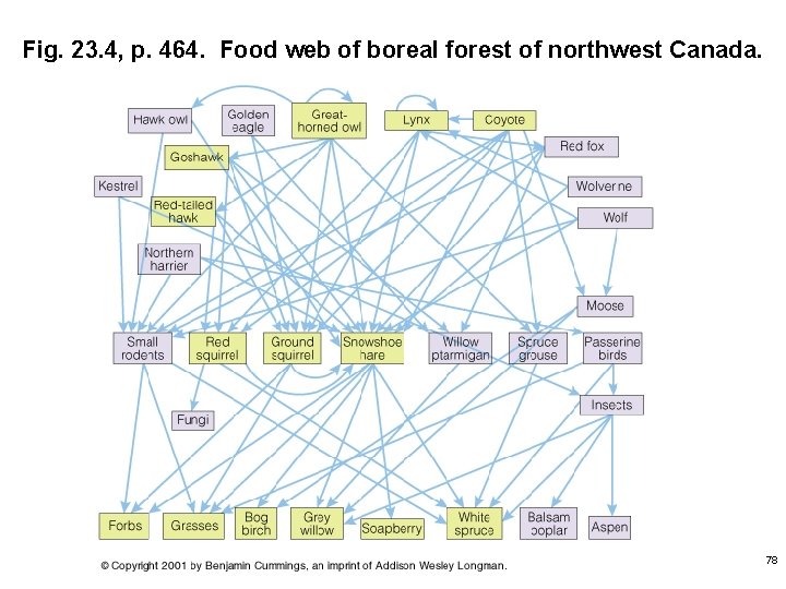 Fig. 23. 4, p. 464. Food web of boreal forest of northwest Canada. 78