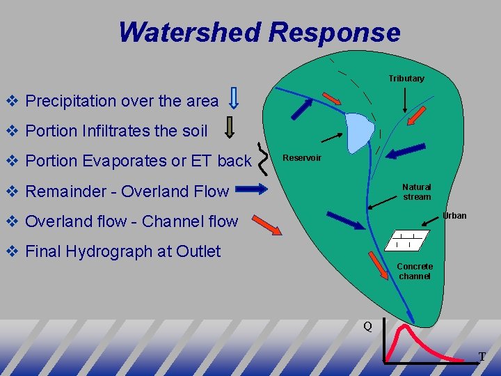 Watershed Response Tributary v Precipitation over the area v Portion Infiltrates the soil v