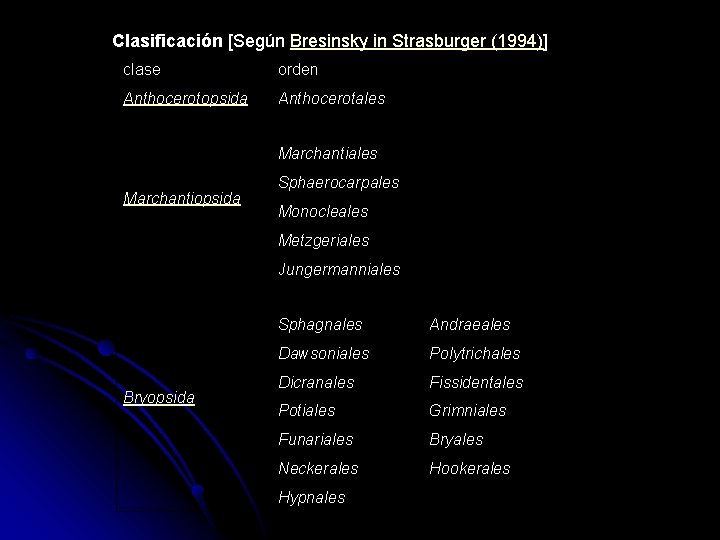 Clasificación [Según Bresinsky in Strasburger (1994)] clase orden Anthocerotopsida Anthocerotales Marchantiopsida Sphaerocarpales Monocleales Metzgeriales