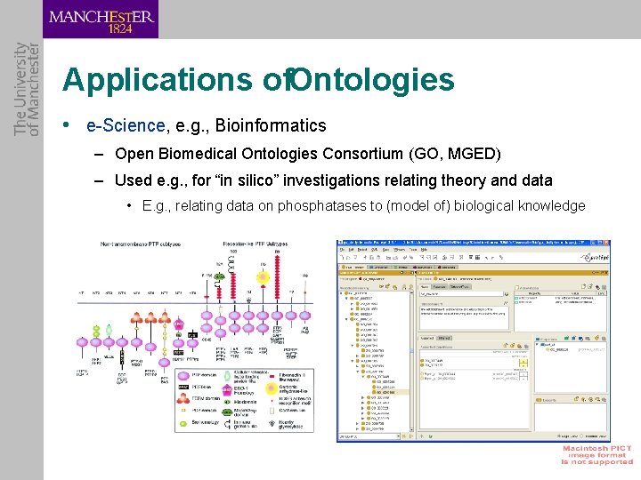 Applications of. Ontologies • e-Science, e. g. , Bioinformatics – Open Biomedical Ontologies Consortium
