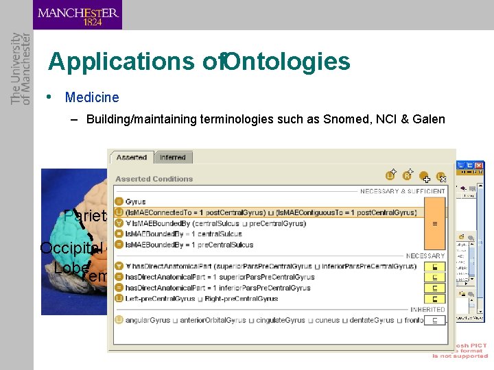 Applications of. Ontologies • Medicine – Building/maintaining terminologies such as Snomed, NCI & Galen