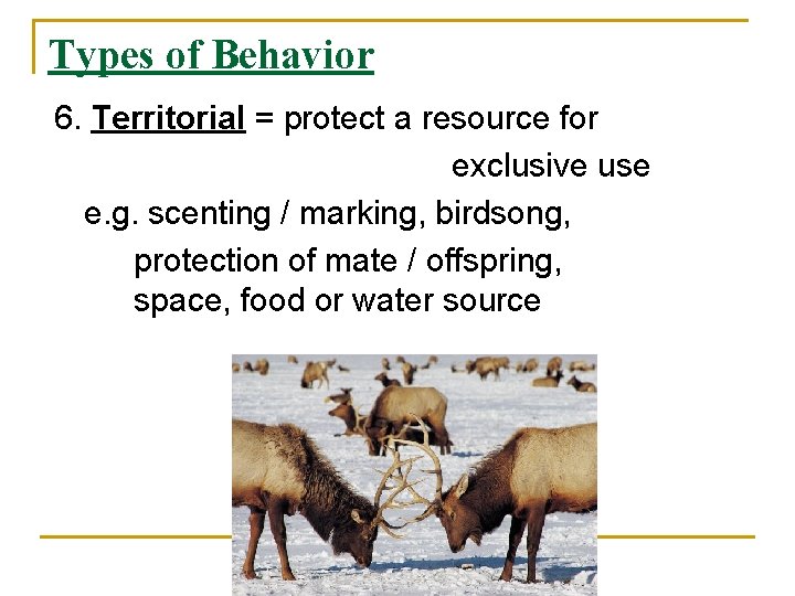 Types of Behavior 6. Territorial = protect a resource for exclusive use e. g.