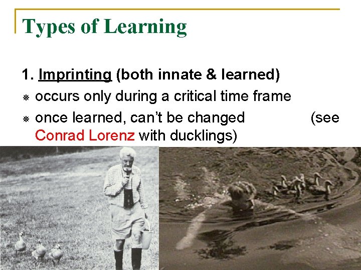 Types of Learning 1. Imprinting (both innate & learned) ¯ occurs only during a