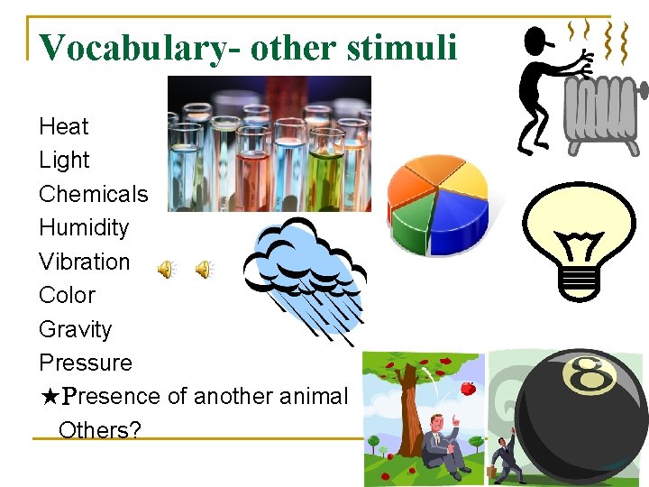 Vocabulary- other stimuli Heat Light Chemicals Humidity Vibration Color Gravity Pressure ★Presence of another