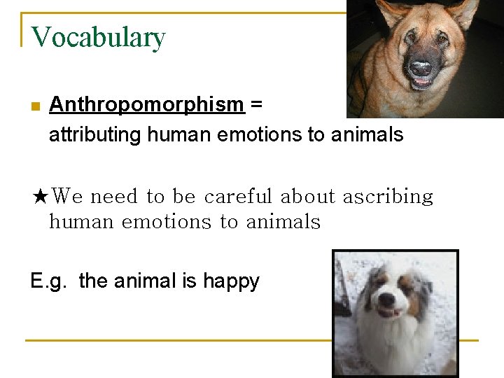 Vocabulary n Anthropomorphism = attributing human emotions to animals ★We need to be careful