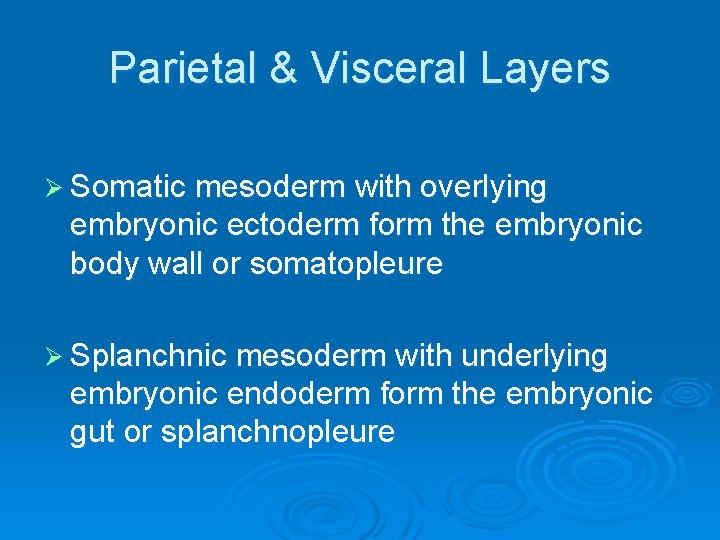 Parietal & Visceral Layers Ø Somatic mesoderm with overlying embryonic ectoderm form the embryonic