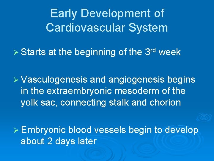 Early Development of Cardiovascular System Ø Starts at the beginning of the 3 rd