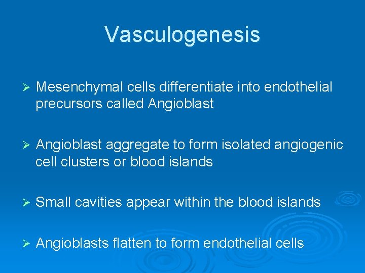 Vasculogenesis Ø Mesenchymal cells differentiate into endothelial precursors called Angioblast Ø Angioblast aggregate to