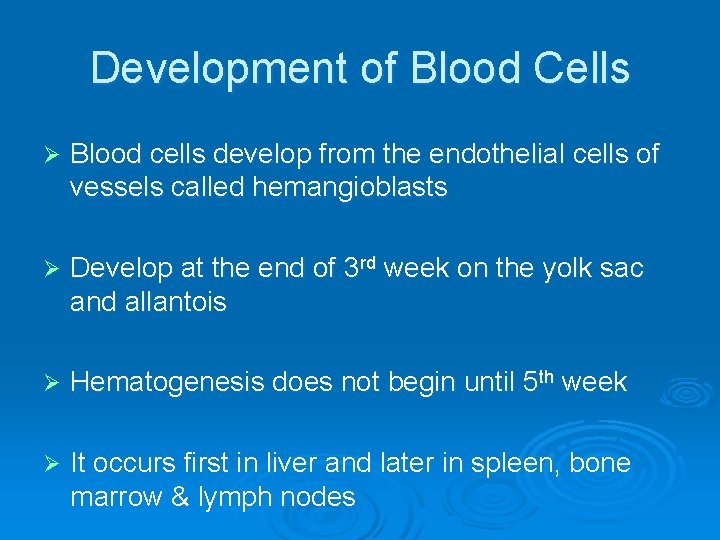 Development of Blood Cells Ø Blood cells develop from the endothelial cells of vessels