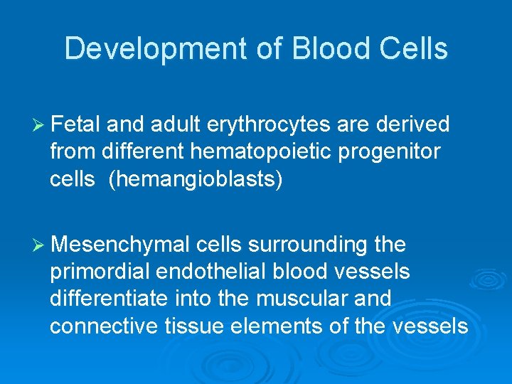 Development of Blood Cells Ø Fetal and adult erythrocytes are derived from different hematopoietic