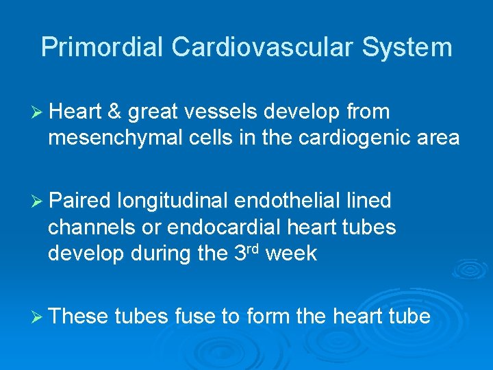 Primordial Cardiovascular System Ø Heart & great vessels develop from mesenchymal cells in the