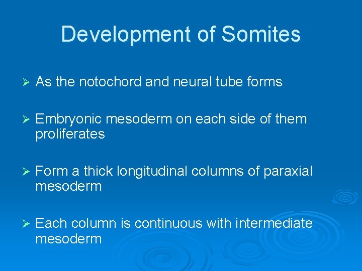 Development of Somites Ø As the notochord and neural tube forms Ø Embryonic mesoderm