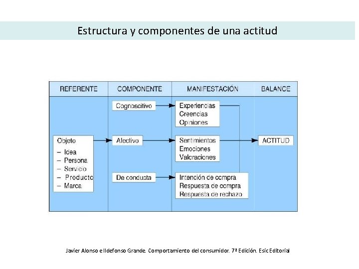 Estructura y componentes de una actitud Javier Alonso e Ildefonso Grande. Comportamiento del consumidor.
