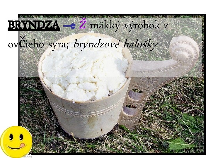 BRYNDZA –e ž mäkký výrobok z ovčieho syra; bryndzové halušky 