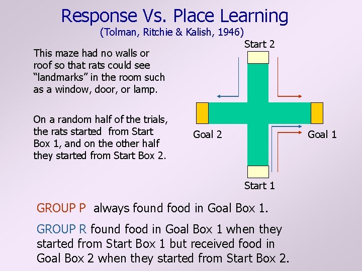 Response Vs. Place Learning (Tolman, Ritchie & Kalish, 1946) This maze had no walls