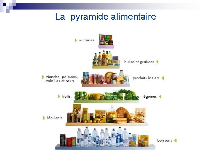 La pyramide alimentaire 
