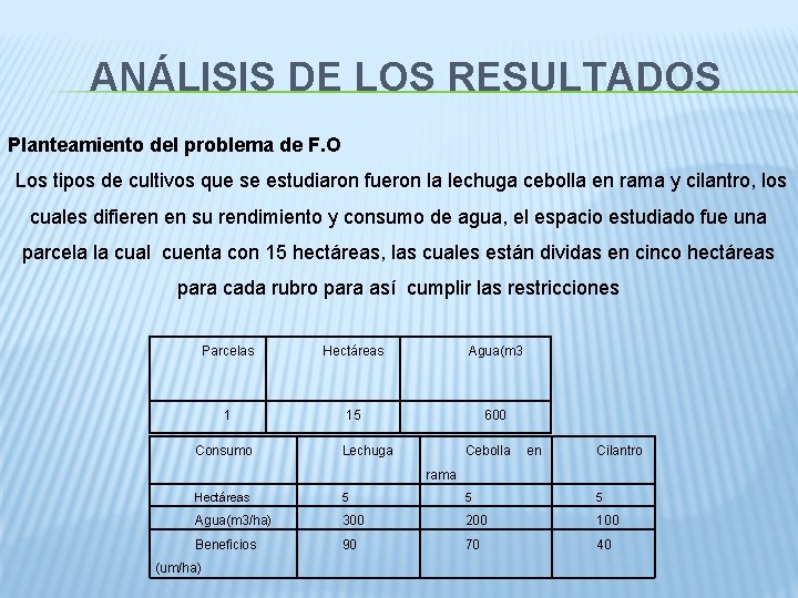  ANÁLISIS DE LOS RESULTADOS Planteamiento del problema de F. O Los tipos de