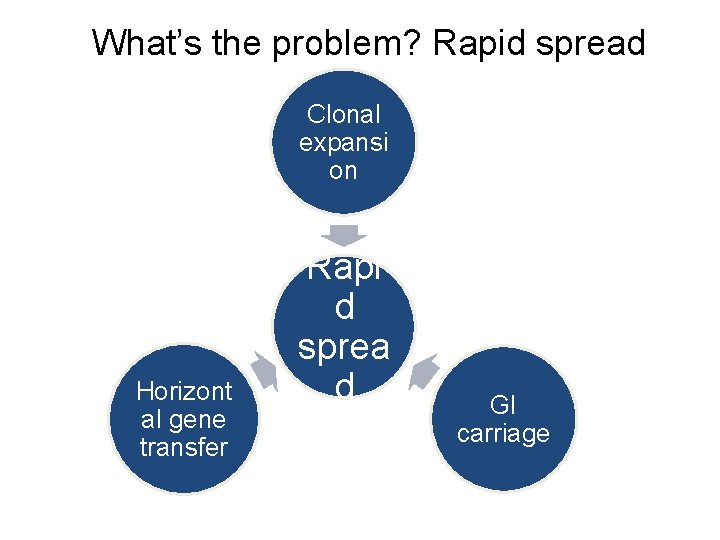 What’s the problem? Rapid spread Clonal expansi on Horizont al gene transfer Rapi d