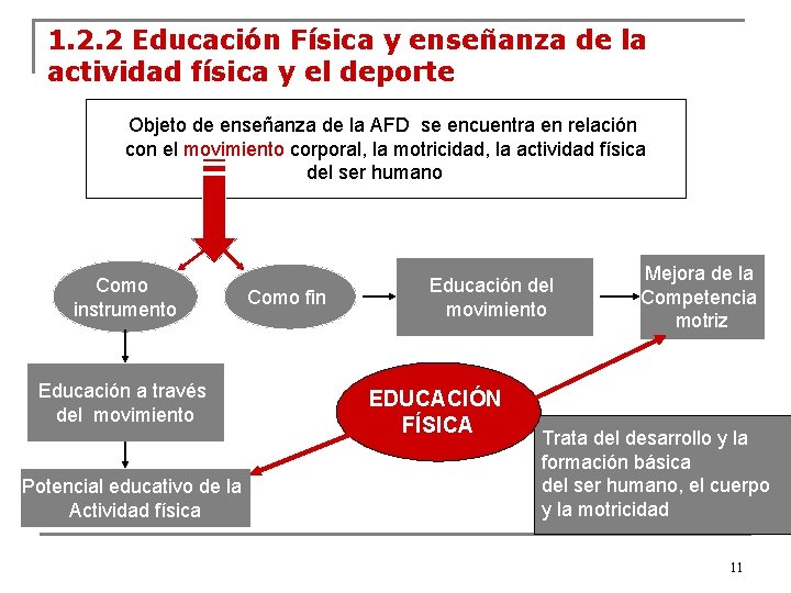 1. 2. 2 Educación Física y enseñanza de la actividad física y el deporte