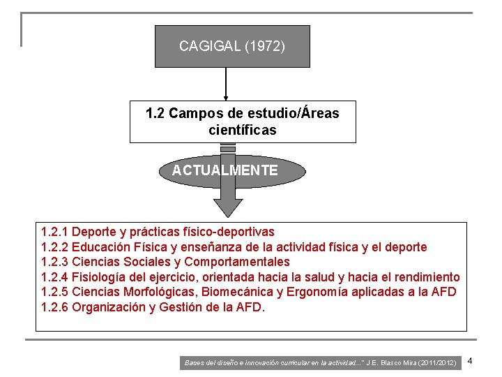 CAGIGAL (1972) 1. 2 Campos de estudio/Áreas científicas ACTUALMENTE 1. 2. 1 Deporte y