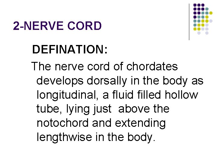 2 -NERVE CORD DEFINATION: The nerve cord of chordates develops dorsally in the body