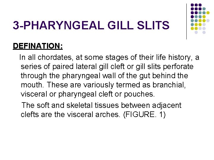 3 -PHARYNGEAL GILL SLITS DEFINATION: In all chordates, at some stages of their life