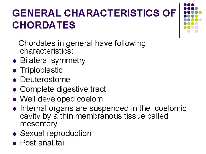 GENERAL CHARACTERISTICS OF CHORDATES Chordates in general have following characteristics: l Bilateral symmetry l